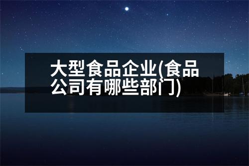 大型食品企業(yè)(食品公司有哪些部門)