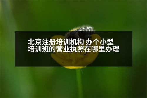 北京注冊(cè)培訓(xùn)機(jī)構(gòu) 辦個(gè)小型培訓(xùn)班的營(yíng)業(yè)執(zhí)照在哪里辦理