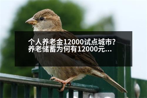 個人養(yǎng)老金12000試點城市？養(yǎng)老儲蓄為何有12000元的限制