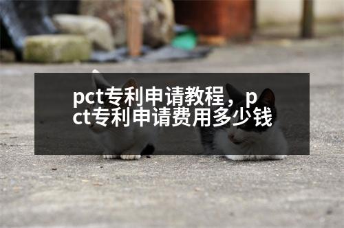 pct專利申請教程，pct專利申請費用多少錢