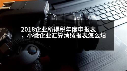 2018企業(yè)所得稅年度申報表，小微企業(yè)匯算清繳報表怎么填