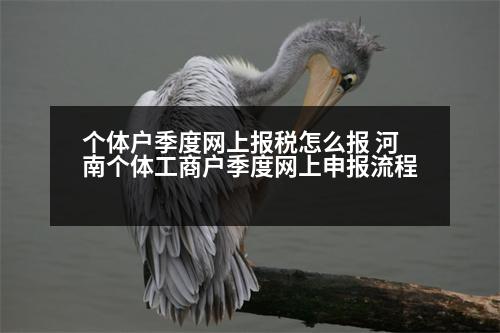 個(gè)體戶(hù)季度網(wǎng)上報(bào)稅怎么報(bào) 河南個(gè)體工商戶(hù)季度網(wǎng)上申報(bào)流程