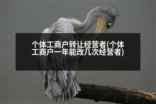 個(gè)體工商戶轉(zhuǎn)讓經(jīng)營(yíng)者(個(gè)體工商戶一年能改幾次經(jīng)營(yíng)者)