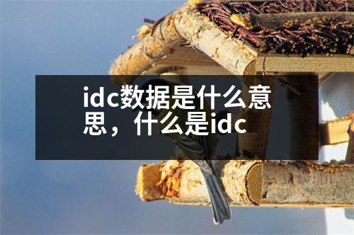 idc數(shù)據(jù)是什么意思，什么是idc