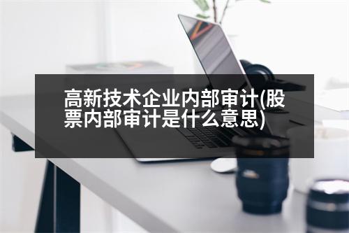 高新技術(shù)企業(yè)內(nèi)部審計(jì)(股票內(nèi)部審計(jì)是什么意思)