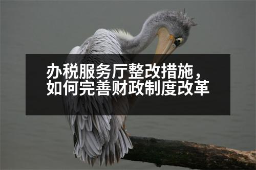 辦稅服務廳整改措施，如何完善財政制度改革