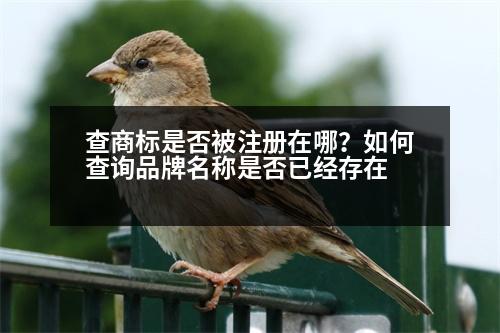 查商標是否被注冊在哪？如何查詢品牌名稱是否已經(jīng)存在