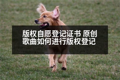 版權自愿登記證書 原創(chuàng)歌曲如何進行版權登記