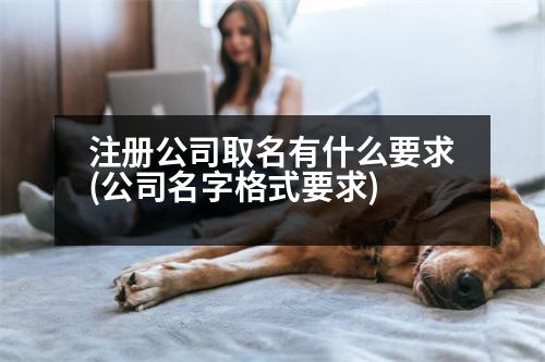 注冊(cè)公司取名有什么要求(公司名字格式要求)