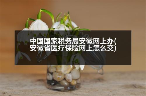 中國(guó)國(guó)家稅務(wù)局安徽網(wǎng)上辦(安徽省醫(yī)療保險(xiǎn)網(wǎng)上怎么交)