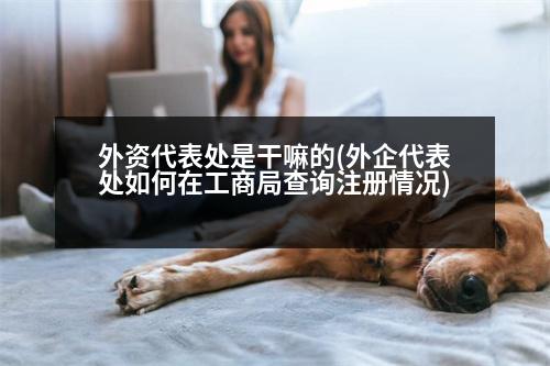 外資代表處是干嘛的(外企代表處如何在工商局查詢注冊情況)