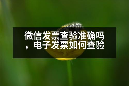 微信發(fā)票查驗(yàn)準(zhǔn)確嗎，電子發(fā)票如何查驗(yàn)