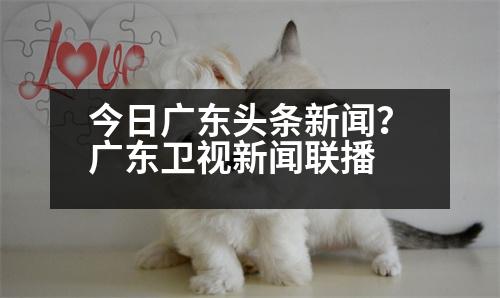 今日廣東頭條新聞？廣東衛(wèi)視新聞聯(lián)播