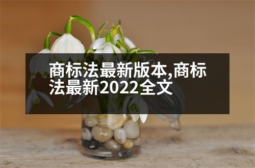 商標(biāo)法最新版本,商標(biāo)法最新2022全文