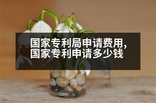 國(guó)家專利局申請(qǐng)費(fèi)用,國(guó)家專利申請(qǐng)多少錢