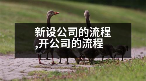 新設(shè)公司的流程,開公司的流程