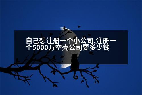 自己想注冊(cè)一個(gè)小公司,注冊(cè)一個(gè)5000萬(wàn)空殼公司要多少錢