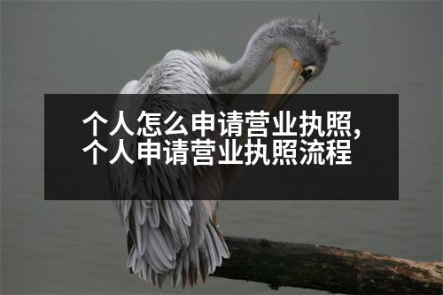 個人怎么申請營業(yè)執(zhí)照,個人申請營業(yè)執(zhí)照流程