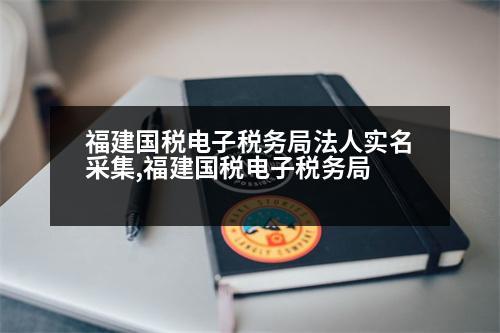 福建國稅電子稅務局法人實名采集,福建國稅電子稅務局