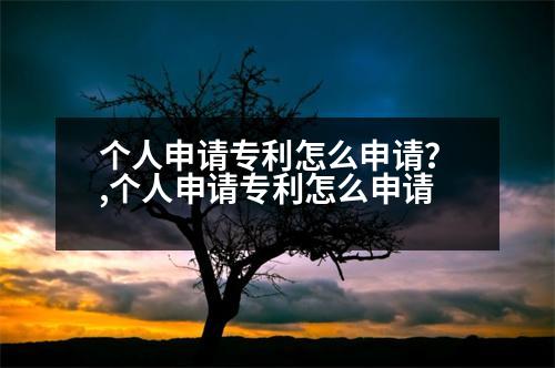 個(gè)人申請(qǐng)專利怎么申請(qǐng)？,個(gè)人申請(qǐng)專利怎么申請(qǐng)