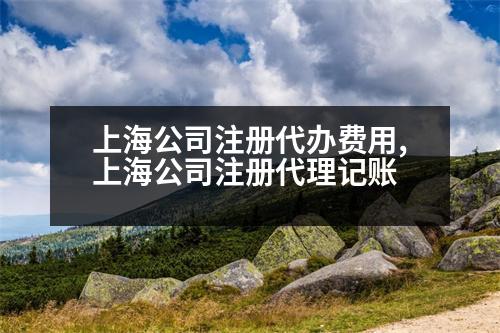 上海公司注冊(cè)代辦費(fèi)用,上海公司注冊(cè)代理記賬