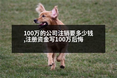 100萬(wàn)的公司注銷要多少錢(qián),注冊(cè)資金寫(xiě)100萬(wàn)后悔