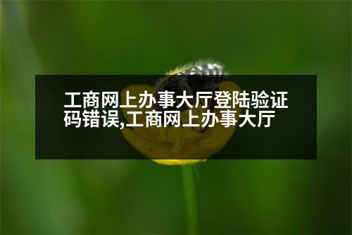 工商網(wǎng)上辦事大廳登陸驗證碼錯誤,工商網(wǎng)上辦事大廳