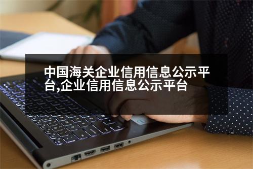 中國(guó)海關(guān)企業(yè)信用信息公示平臺(tái),企業(yè)信用信息公示平臺(tái)