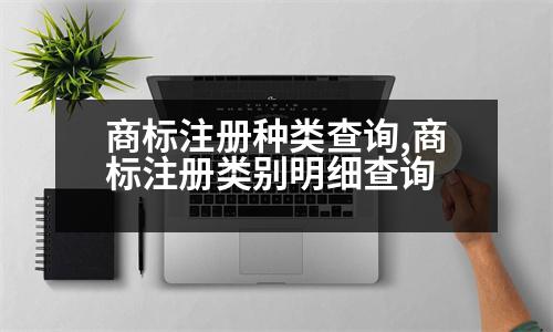 商標(biāo)注冊種類查詢,商標(biāo)注冊類別明細(xì)查詢