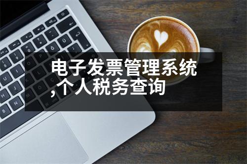 電子發(fā)票管理系統(tǒng),個(gè)人稅務(wù)查詢