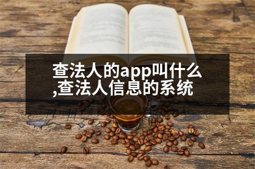 查法人的app叫什么,查法人信息的系統(tǒng)