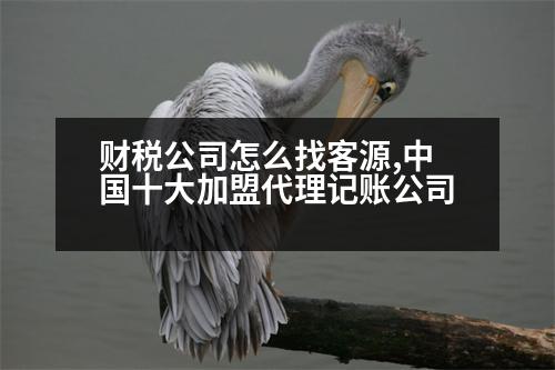 財(cái)稅公司怎么找客源,中國十大加盟代理記賬公司