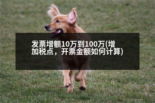 發(fā)票增額10萬(wàn)到100萬(wàn)(增加稅點(diǎn)，開(kāi)票金額如何計(jì)算)