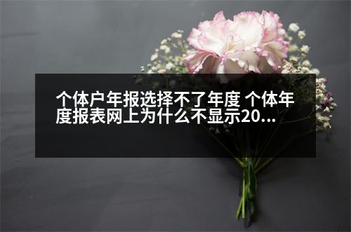 個體戶年報選擇不了年度 個體年度報表網(wǎng)上為什么不顯示2023年