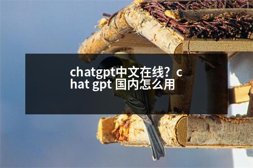 chatgpt中文在線？chat gpt 國內(nèi)怎么用