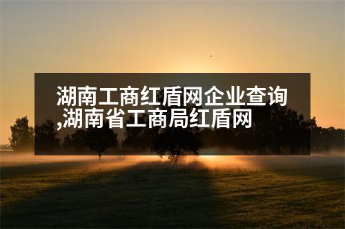 湖南工商紅盾網(wǎng)企業(yè)查詢(xún),湖南省工商局紅盾網(wǎng)