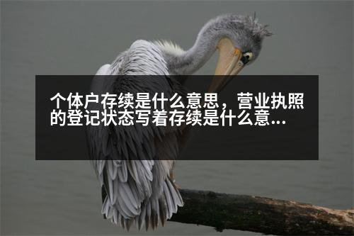 個(gè)體戶存續(xù)是什么意思，營(yíng)業(yè)執(zhí)照的登記狀態(tài)寫著存續(xù)是什么意思