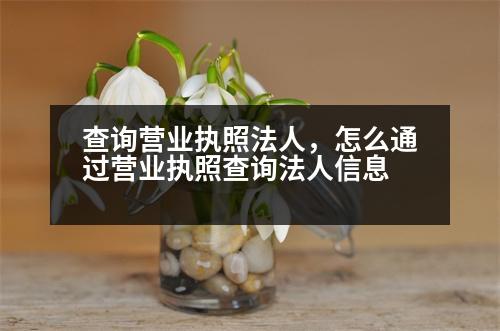 查詢營(yíng)業(yè)執(zhí)照法人，怎么通過營(yíng)業(yè)執(zhí)照查詢法人信息