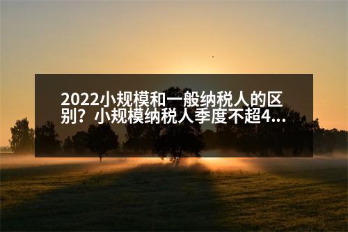 2022小規(guī)模和一般納稅人的區(qū)別？小規(guī)模納稅人季度不超45萬免稅嗎