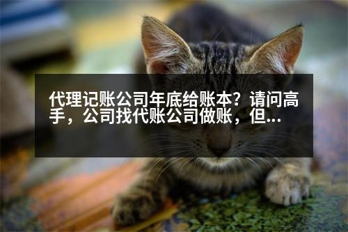 代理記賬公司年底給賬本？請(qǐng)問高手，公司找代賬公司做賬，但賬本賬冊(cè)代賬公司要保管，這可以嗎