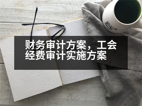 財務(wù)審計方案，工會經(jīng)費審計實施方案