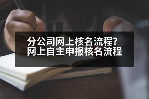 分公司網(wǎng)上核名流程？網(wǎng)上自主申報核名流程