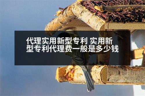 代理實用新型專利 實用新型專利代理費一般是多少錢