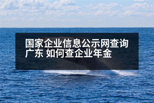 國家企業(yè)信息公示網(wǎng)查詢廣東 如何查企業(yè)年金