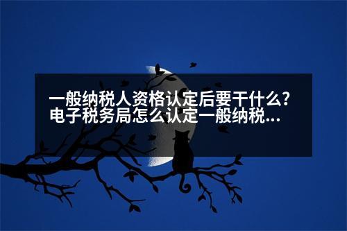 一般納稅人資格認(rèn)定后要干什么？電子稅務(wù)局怎么認(rèn)定一般納稅人