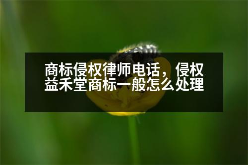 商標(biāo)侵權(quán)律師電話，侵權(quán)益禾堂商標(biāo)一般怎么處理