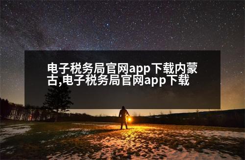 電子稅務(wù)局官網(wǎng)app下載內(nèi)蒙古,電子稅務(wù)局官網(wǎng)app下載