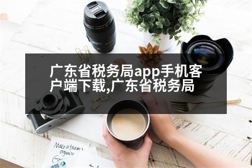 廣東省稅務(wù)局app手機客戶端下載,廣東省稅務(wù)局