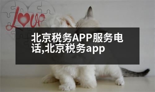 北京稅務APP服務電話,北京稅務app