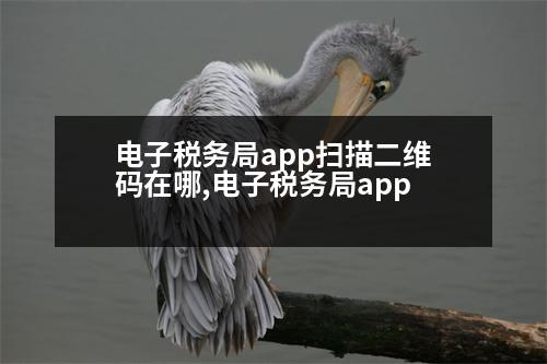 電子稅務(wù)局app掃描二維碼在哪,電子稅務(wù)局app